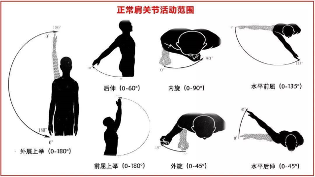 正常肩關(guān)節(jié)活動(dòng)范圍