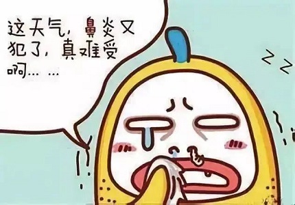 鼻炎又犯了