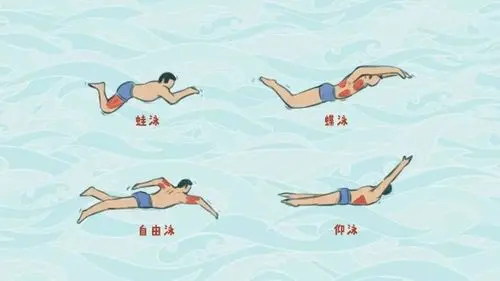 游泳